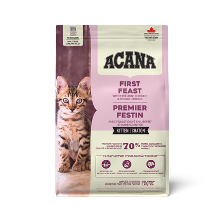 Kitten vs hot sale adult food